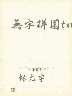 无字拼图txt