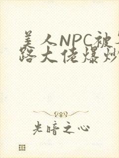 美人NPC被各路大佬爆炒小说