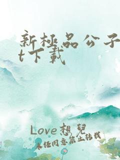 新极品公子txt下载