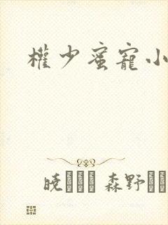 权少蜜宠小娇妻