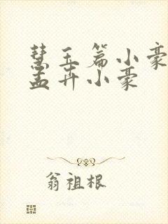 慧玉篇小豪续上孟卉小豪