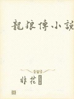 龙狼传小说