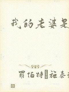 我的老婆是大神