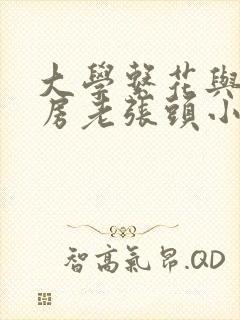 大学系花与锅炉房老张头小说