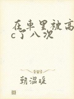 在车里被高潮被c了八次