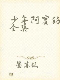 少年阿宾的故事全集