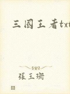 三国王者txt