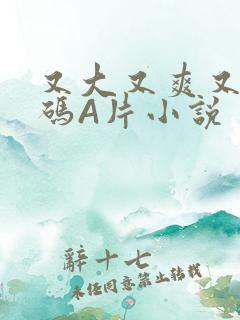 又大又爽又黄无码A片小说