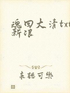 魂回大清txt新浪