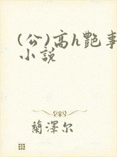 (公)高h艳事小说