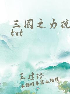 三国之力挽狂澜txt