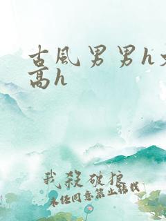 古风男男h文肉高h