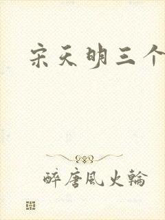 宋天明三个婆娘