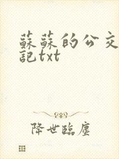 苏苏的公交车日记txt