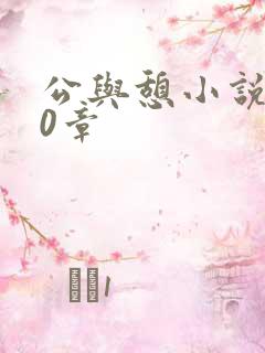 公与憩小说400章