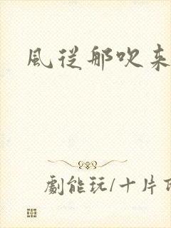风从那吹来小说