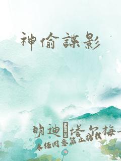 神偷谍影