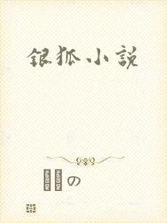 银狐小说