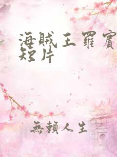 海贼王罗宾被h短片