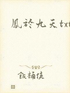 凤于九天txt