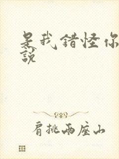 是我错怪你了小说