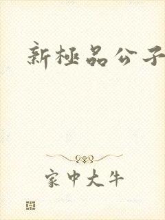 新极品公子