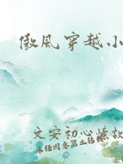 傲风穿越小说吧