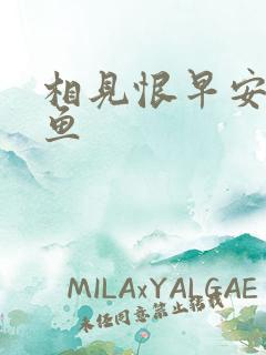 相见恨早安然的鱼