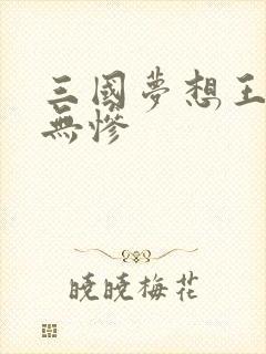 三国梦想王元姬无惨