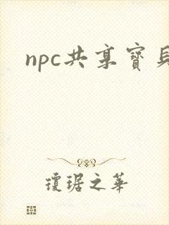 npc共享宝贝