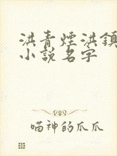 洪青烟洪镇国的小说名字