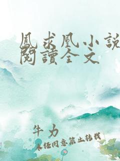 凤求凰小说免费阅读全文