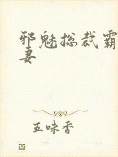 邪魅总裁霸占新妻