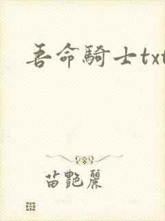 吾命骑士txt