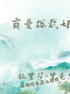 霸爱总裁好生猛