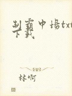 制霸中场txt下载
