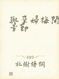 与孕妇梅开三度章节