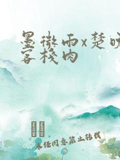 墨微雨x楚晚宁客栈肉