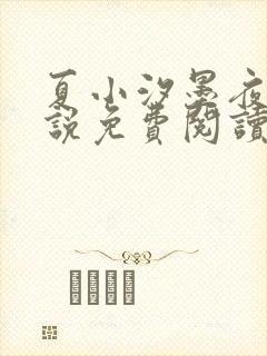 夏小汐墨夜霆小说免费阅读