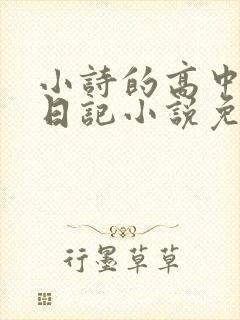小诗的高中成长日记小说免费阅读