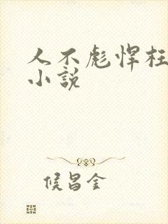 人不彪悍枉少年小说