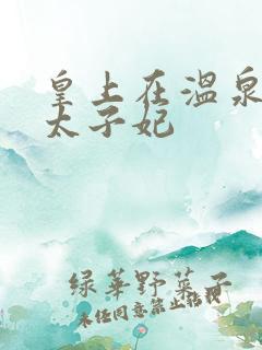 皇上在温泉要了太子妃