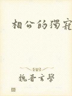 相公的独宠妻子