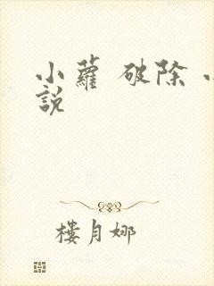 小萝 破除 小说