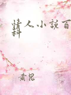 情人小说百度百科