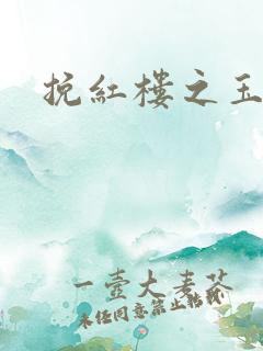 挽红楼之玉亦狂