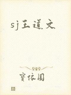sj王道文