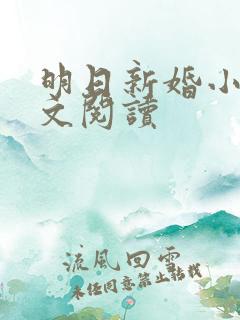明日新婚小说全文阅读