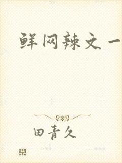 鲜网辣文一对一