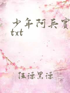 少年阿兵宾小说txt
